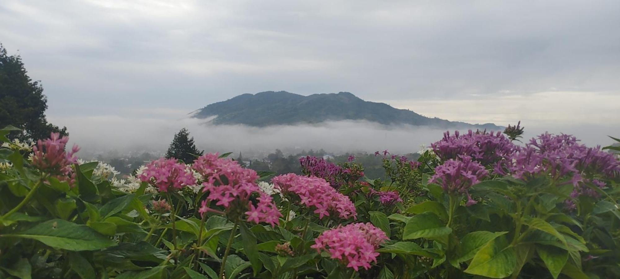 Homestay Chan Que เบ๋าลอก ภายนอก รูปภาพ